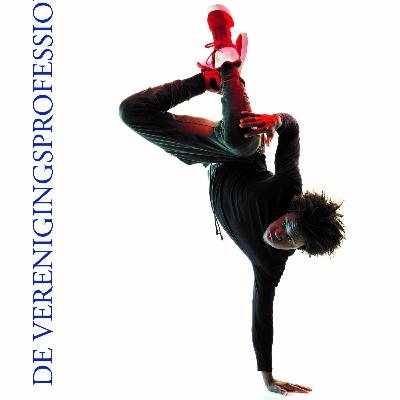 #9 VP podcast, interview Peter Niesink, BOVAG