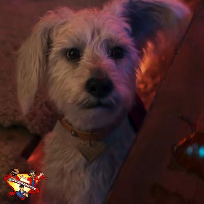 Puppy Krypto and the New SUPERGIRL (2026) TV Promo