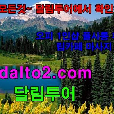분당오피 달림투어 podcast artwork
