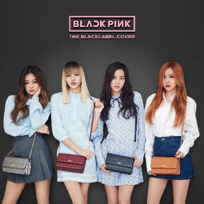 So Hot / BLACKPINK (THEBLACKLABEL Remix Cover) So Hot / BLACKPINK (THEBLACKLABEL Remix Cover)