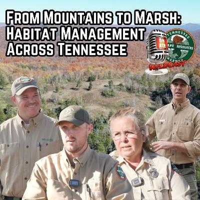 #471 From Mountains to Marsh: Habitat Management Across Tennessee