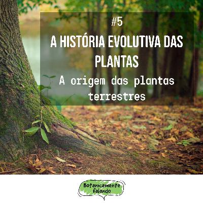 A história evolutiva das plantas #5: A origem das plantas terrestres - Botanicamente falando