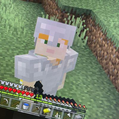 #005 Minecraft Survival 2 #005 Minecraft Survival 2