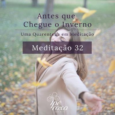 Meditação 32 - Viver o essencial