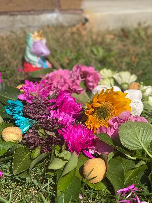 Sacred Earth Alchemy Meditation