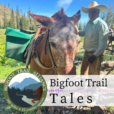 Ken Graves and the Heart of Backcountry Trail Work