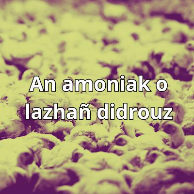 E Breizh emañ an amoniak o lazhañ didrouz #2