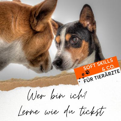 #42 Wer bin ich? Wie tickst du?