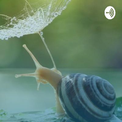 Idioma, habla y variantes dialectales