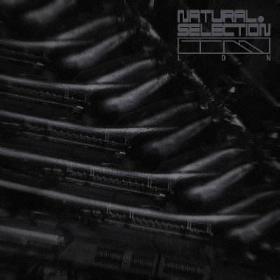 PREMIERE: Swarm Intelligence - Inflate [NS008]