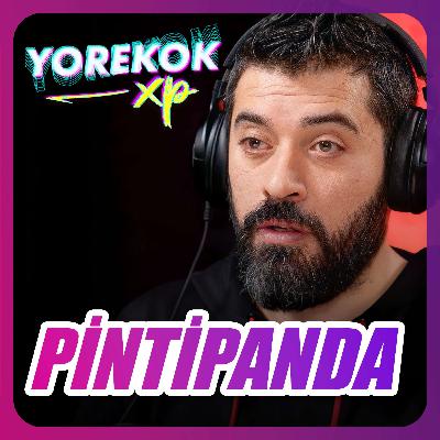 Yorekok XP #16 - Pintipanda (Tuna Akşen)
