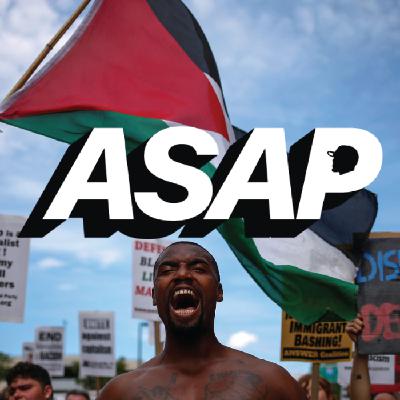 Understanding Palestine With FoFo