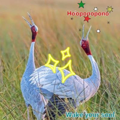 Ho'oponopono Ho'oponopono