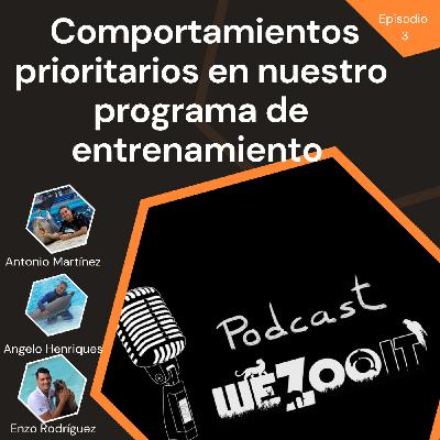#3 Comportamientos prioritarios en nuestro programa de entrenamiento