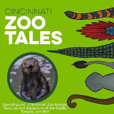 New Beginnings: Meet Sea Otters Chloe and Kevin New Beginnings: Meet Sea Otters Chloe and Kevin