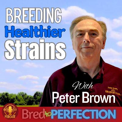 Ep263 - Avian Metapneumovirus (aMPV): Protecting Your Bloodlines from a Silent Flock Killer with Peter Brown