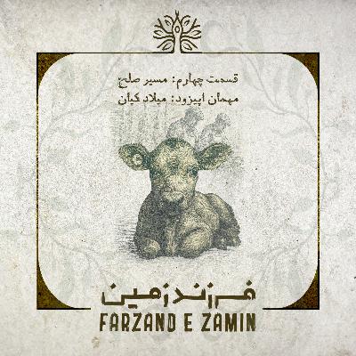 در مسیر صلح