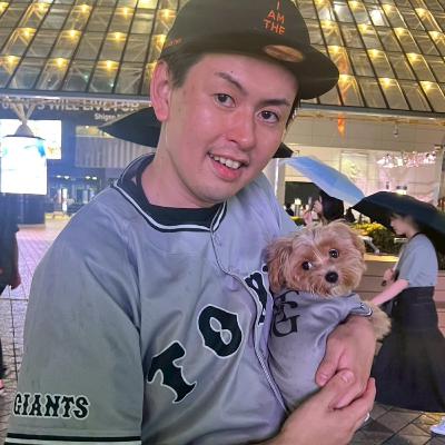 テストです