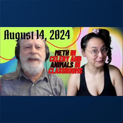 In the Wrong Places | August 14, 2024 In the Wrong Places | August 14, 2024