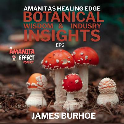 Ep2 Amanita’s Healing Edge: Botanical Wisdom and Industry Insights with James Burhoe