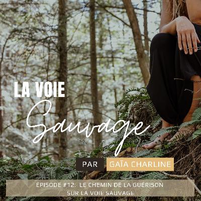 #12 Le chemin de la guérison #12 Le chemin de la guérison