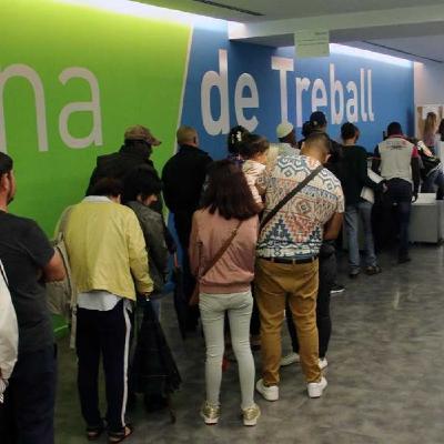 Contrapunt, 8 d'octubre de2025