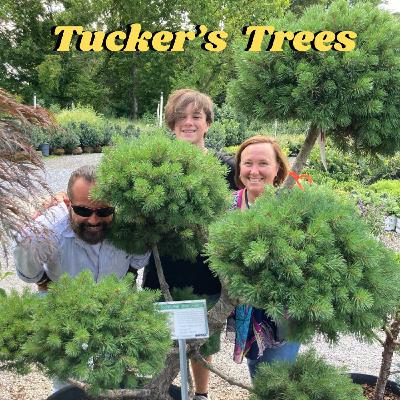 Episode 5: A Knoxville Spring! Dogwood Arts, Client stories, Parades, Vols Baseball and Debbie Boone karaoke