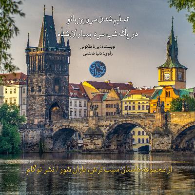 تسلیم شدن سروین‌بانو در یک شب سرد بمباران شده-‌ بی‌تا ملکوتی