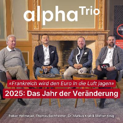 Wirtschaftskrise oder Wende?