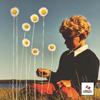 July, Nature in Denmark, and following The Daisy Route: The Danish Year Part 7