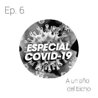 A un año del bicho A un año del bicho