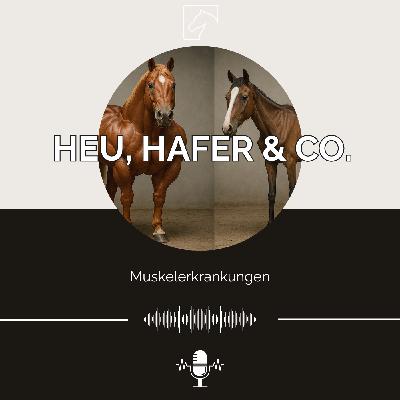 Episode 37 - Wenn Muskeln Hilfe brauchen: So unterstützt die richtige Fütterung Dein Pferd