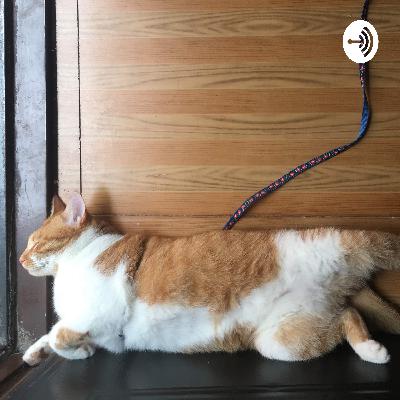 炎炎消防队主题曲