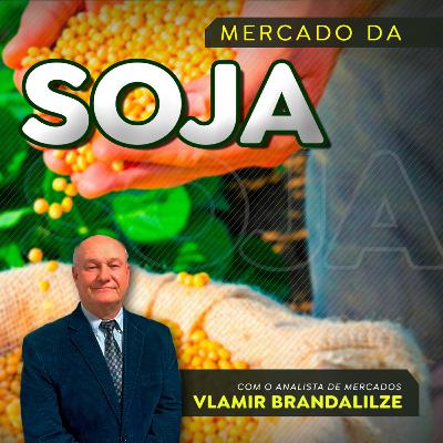 Vendas atrasadas da soja podem derrubar preços em fevereiro