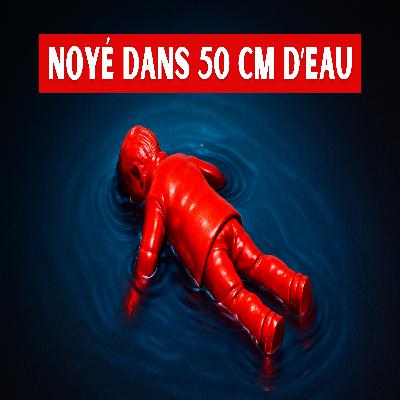 Max Revient sur : l'affaire Boulin (feat Fabienne Boulin)