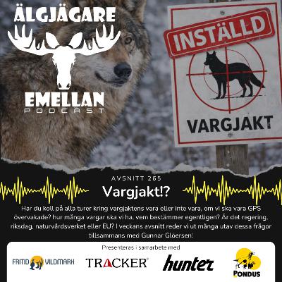 265. Vargjakt!? 265. Vargjakt!?