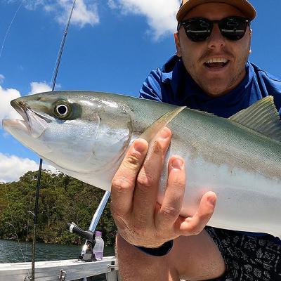 The Kingfish are Here! - Fishing Report