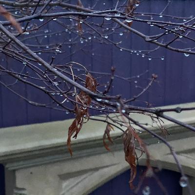 9 December 2025 9 December 2025