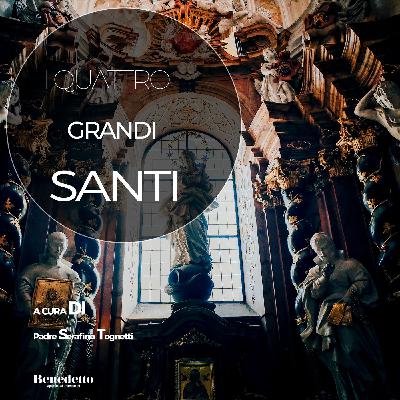 La fraternità (SAN FRANCESCO)