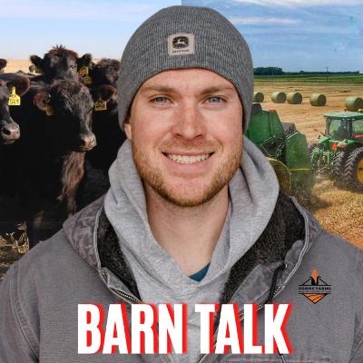 Cattle, Corn, and Content Creation: Sonne Farms Talks Farm Life Cattle, Corn, and Content Creation: Sonne Farms Talks Farm Life