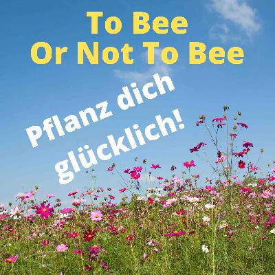 To Bee Or Not To Bee #11 To Bee Or Not To Bee #11