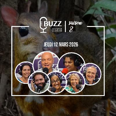 Jeudi 12/02/2026 - Le chevrotain, le plus petit ongulé de la planète
