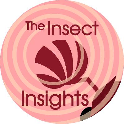 The alkali fly, a specialised swimmer The alkali fly, a specialised swimmer