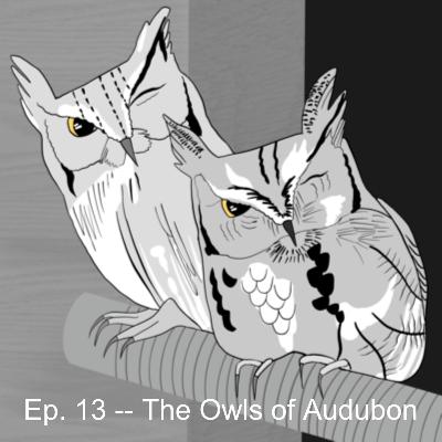 Get Zen At Your Audubon Raptor Center