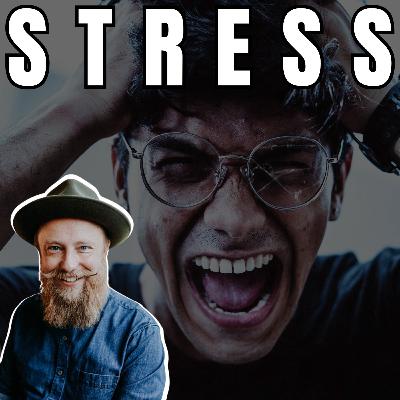 Stress entschlüsselt! Seine wahre Natur verstehen und wie er uns beeinflusst - René Träder - Interview #36