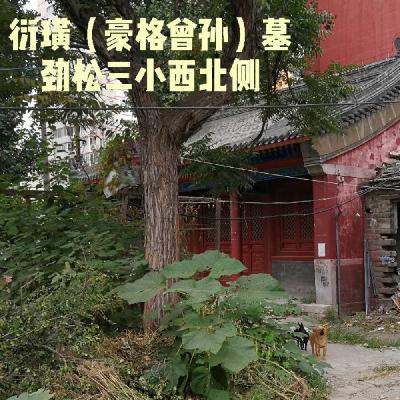 74.劲松、龙潭湖与皇太极长子的故事