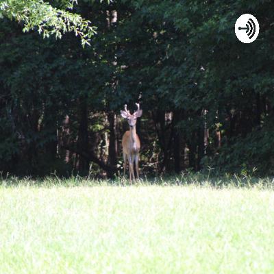 Spreading love not hate