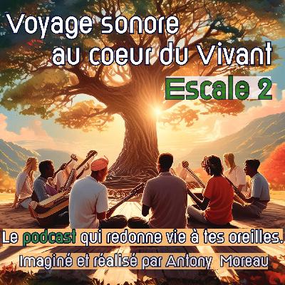 Escale 2 - L'étang des grenouilles au Printemps - Voyage sonore au cœur du Vivant