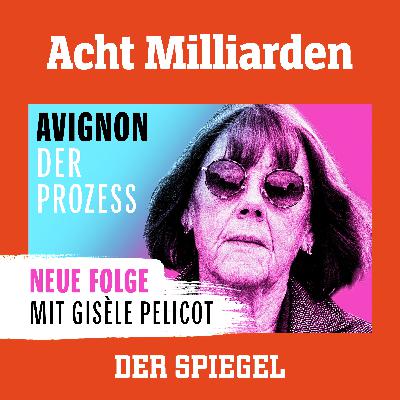 E06 Avignon: Gisèle Pelicot spricht – Teil 2