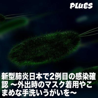 新型肺炎日本で2例目の感染確認 〜外出時のマスク着用やこまめな手洗いうがいを〜